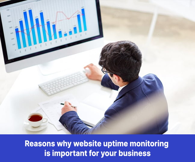 Reasons why website uptime monitoring is important for your business