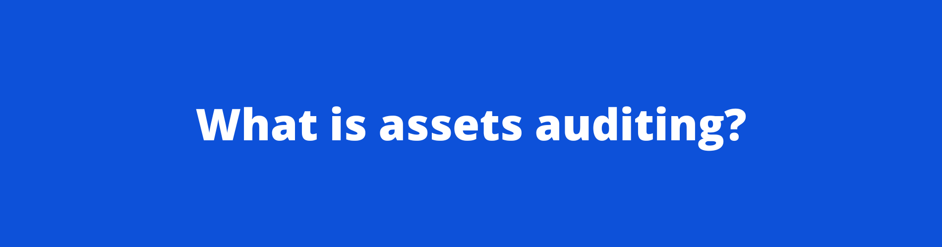 What is assets auditing