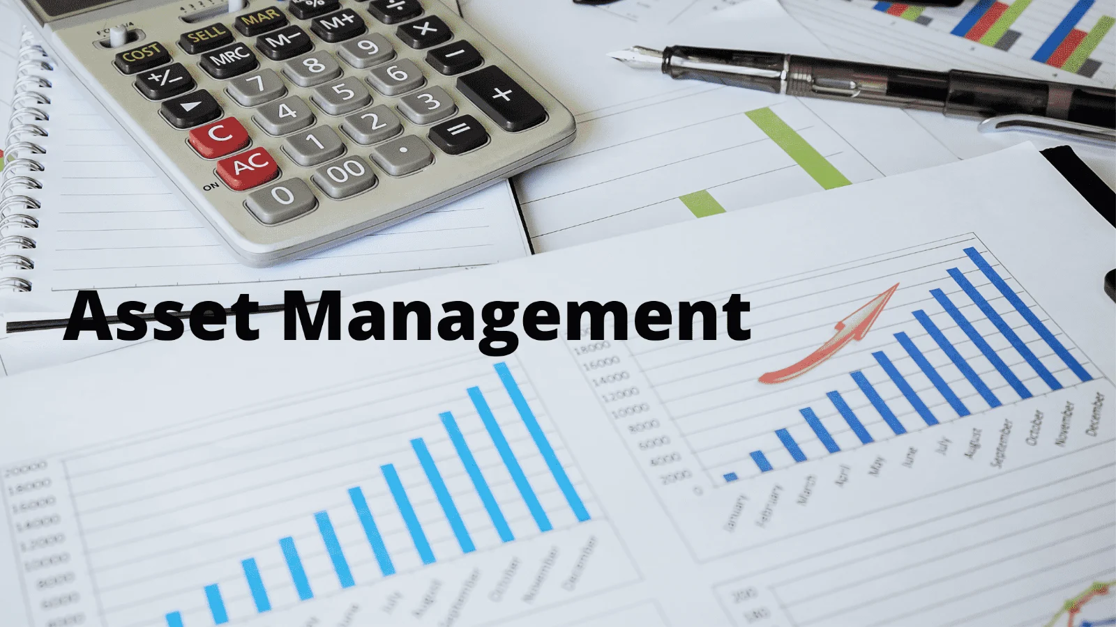 Remote Asset Management Software 1