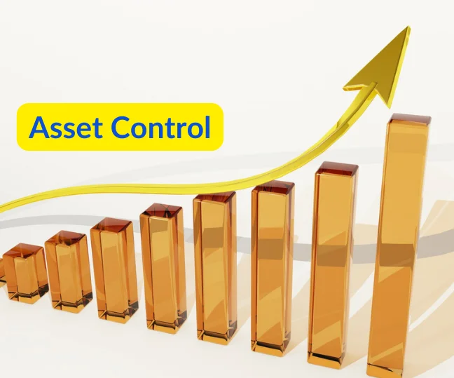 What is Asset Control in 2022 Infraon