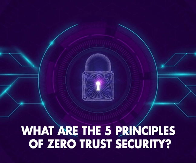What are the 5 principles of Zero Trust security