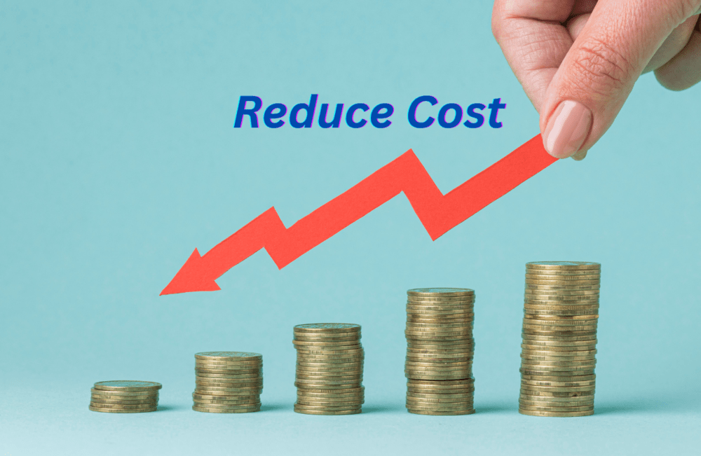 10 ways to reduce your IT Cost