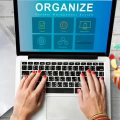 system content management seo application graphic concept1