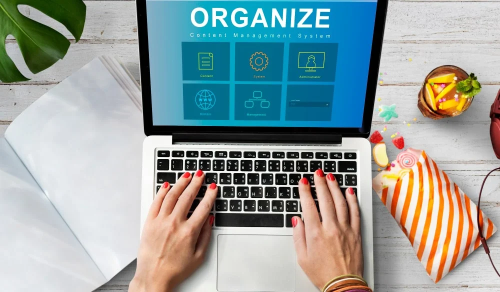 system content management seo application graphic concept1